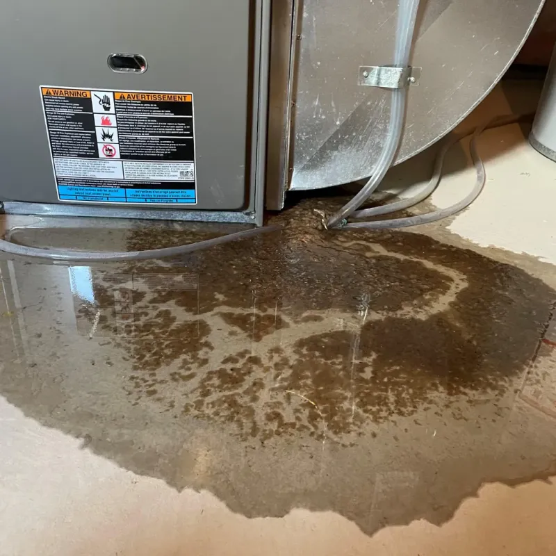 Appliance Leak Cleanup in Cordova, AL